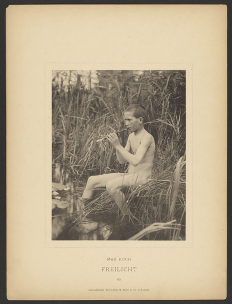 [Plate 65]