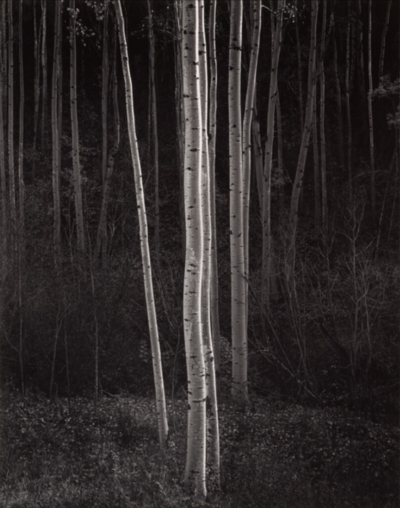 Ansel Adams