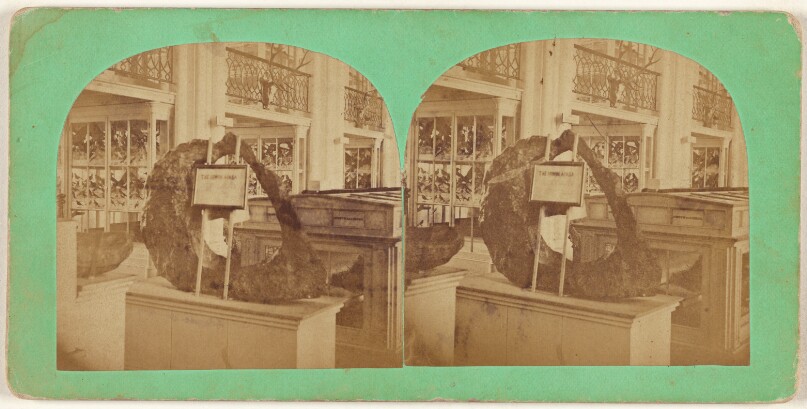 View of the Interior of the Smithsonian Institution.