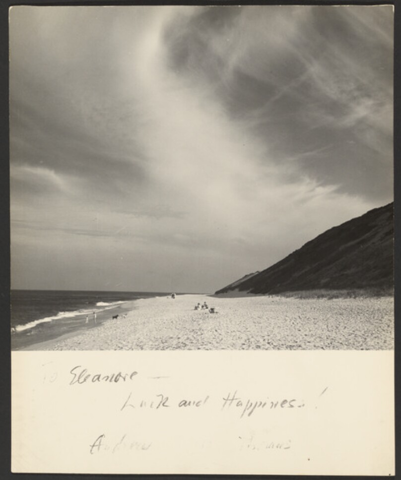 [Beach landscape]