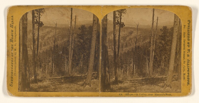 Illingworth Valley, near Harney's Peak.