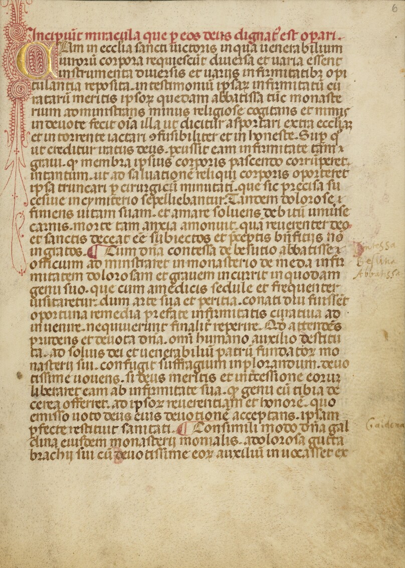 Decorated Initial C