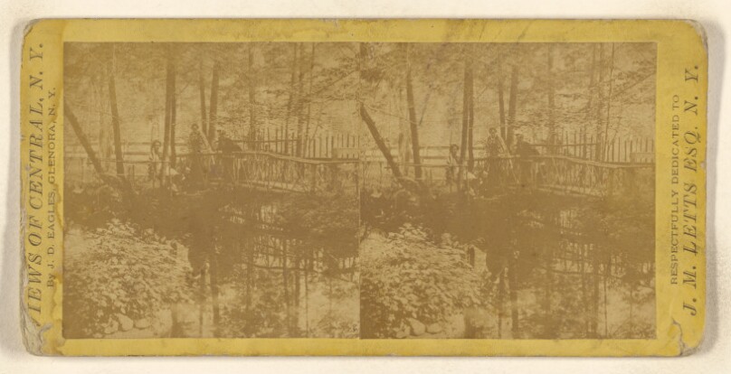 Forest Bridge. [Crystal Springs, Yates County, New York]