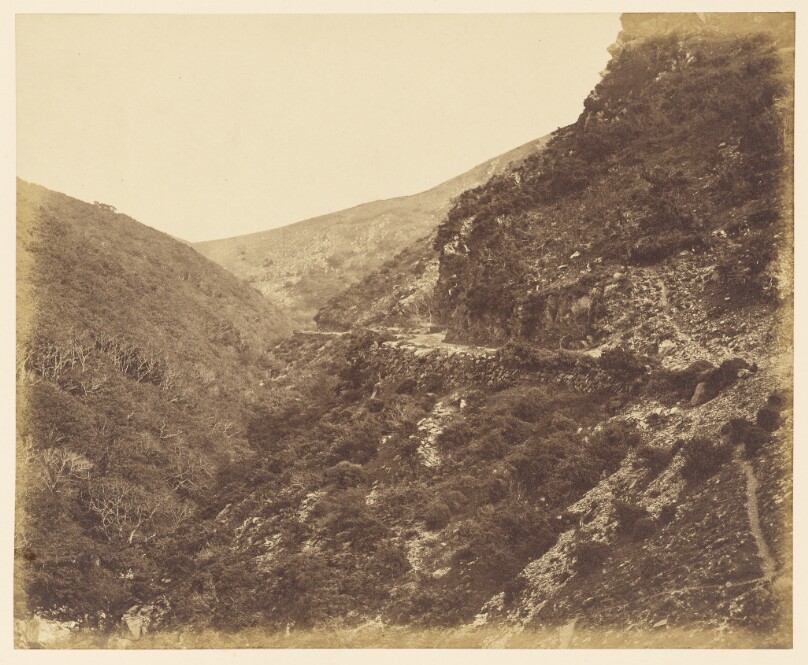 On the road to Watersmeet, near Lynton, North Devon