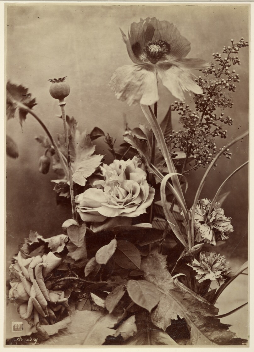 [Floral Arrangement]