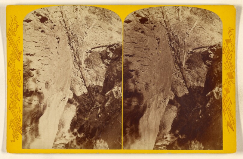 [Gorge with tree, Colorado River]