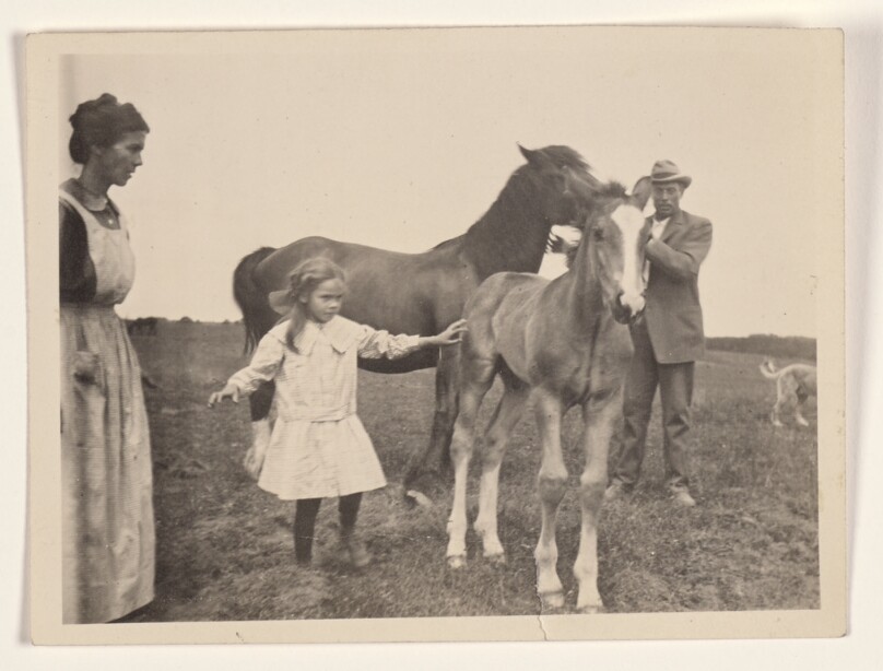 [Girl with horses]