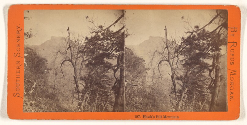 Hawk's Bill Mountain. [Morganton, N.C.]