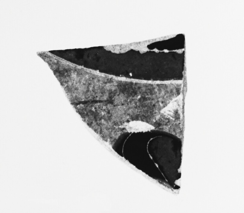 Attic Panathenaic Amphora Fragment