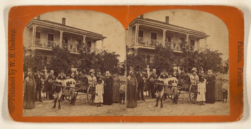 [Grouping of town members posed with ox-drawn cart, Palatka, Florida]