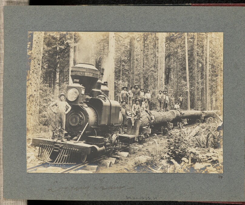 Logging Train