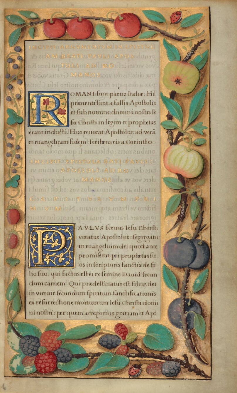 Decorated Text Page