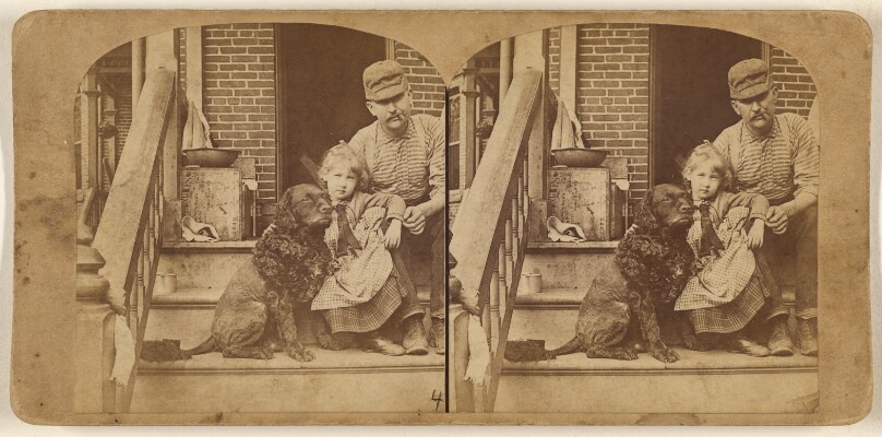The Great Johnstown Flood, May 31, 1889. The famous dog, "Romey," that saved the lives of three people - Mrs. Kress, child...