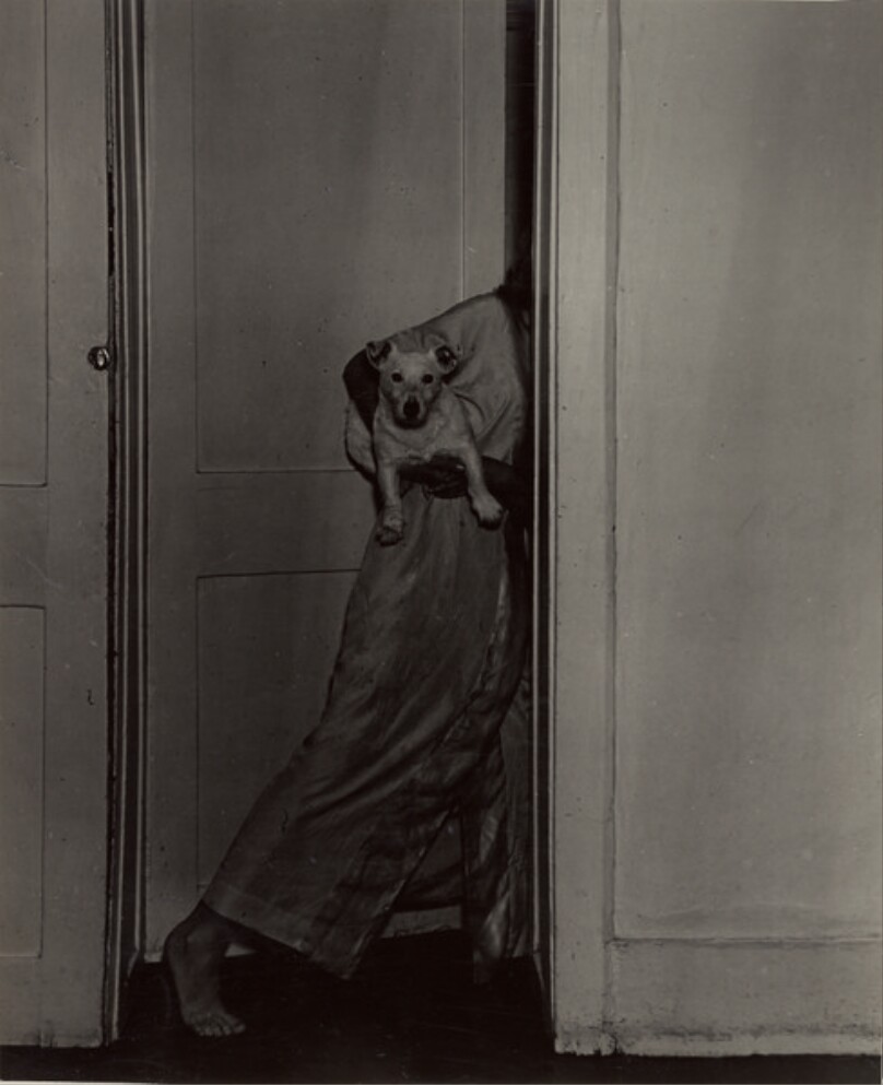 Woman Exiting with Dog