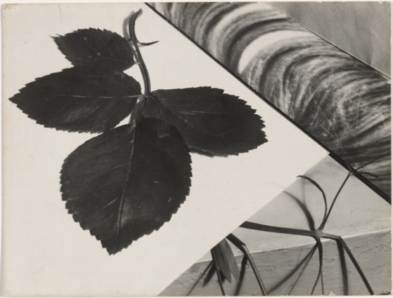 Florence Henri
