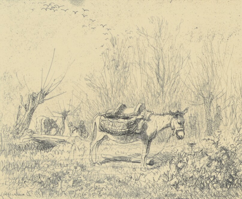 L'Ane Au Pré