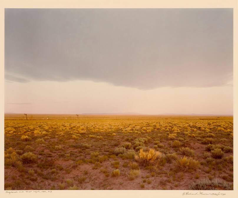 Sagebrush and First Light #3