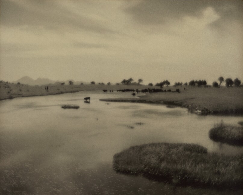 Plateau, Late Spring