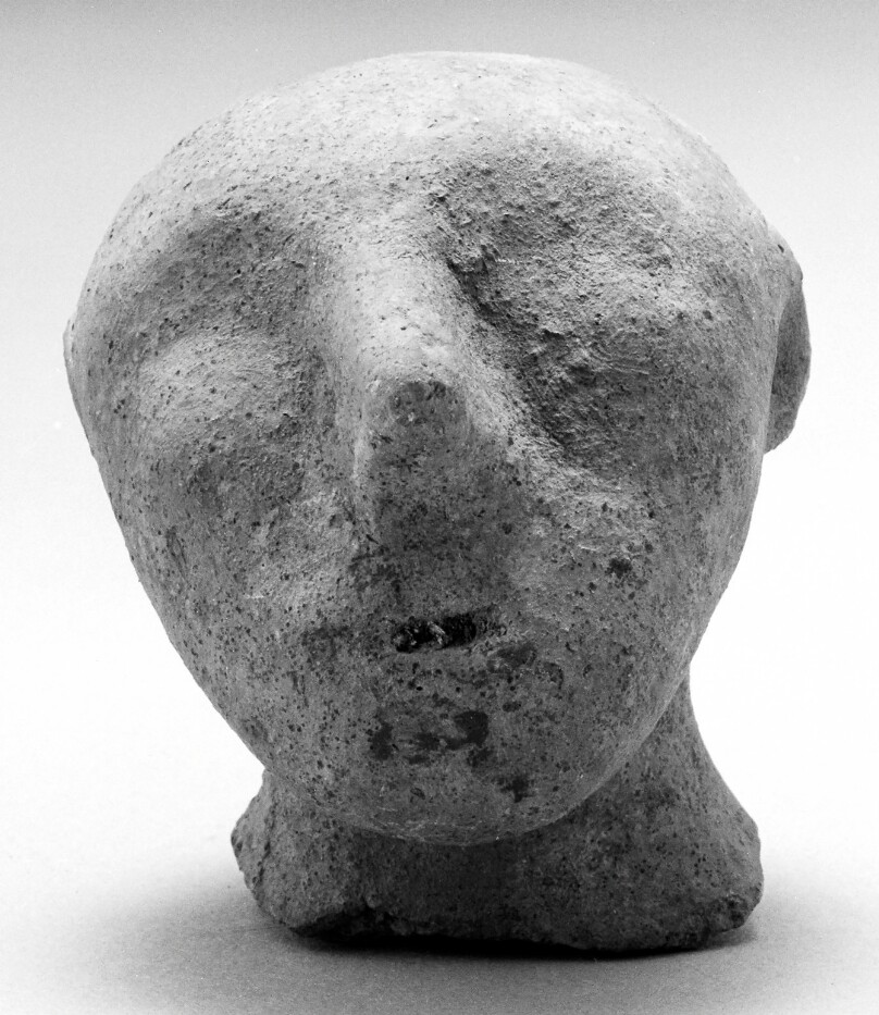 Male Head