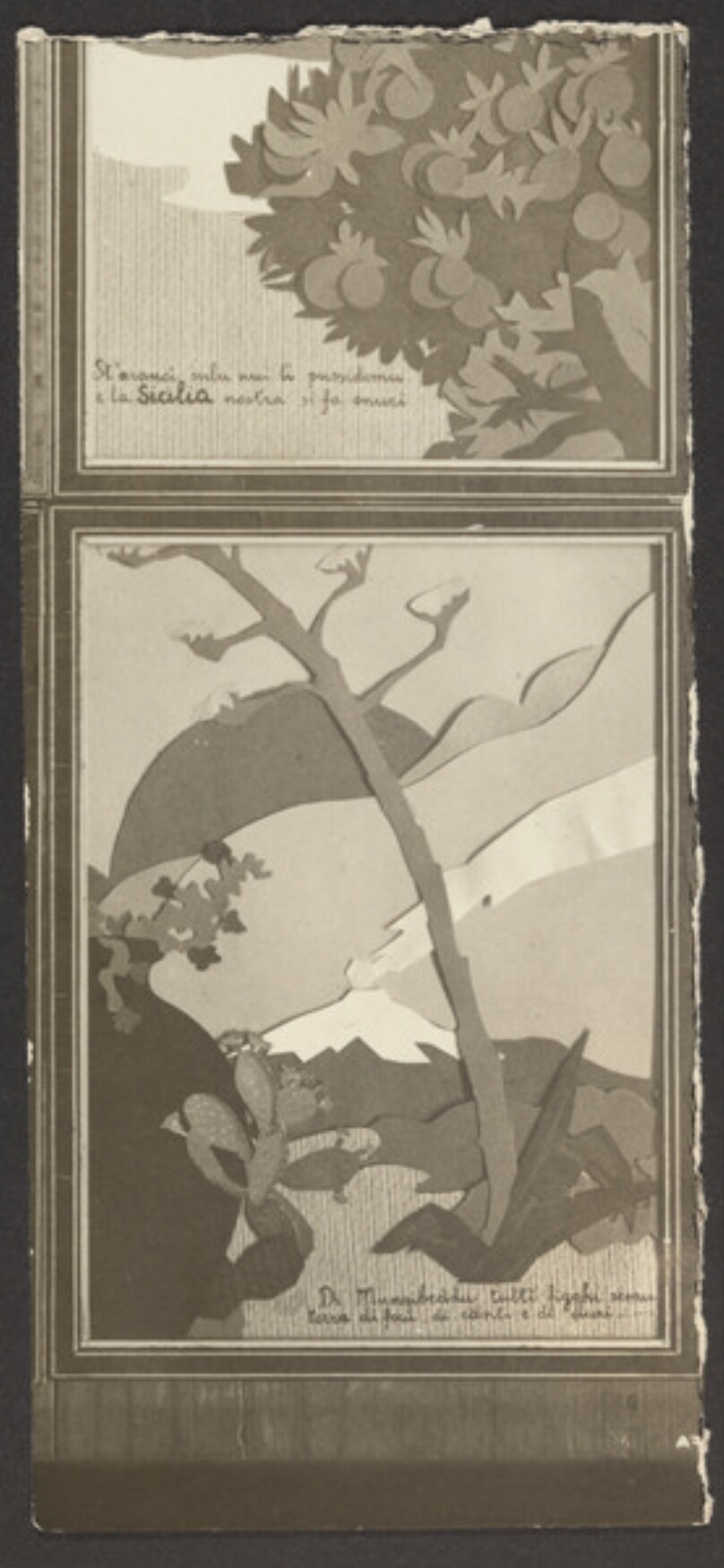 [Mountain and tree collage]