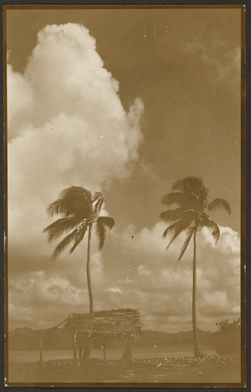 [Landscape with Palm Trees]