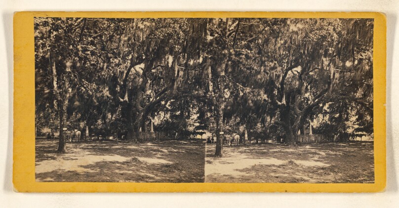 [Cemetery, St. Helena Island, Beaufort County, South Carolina]