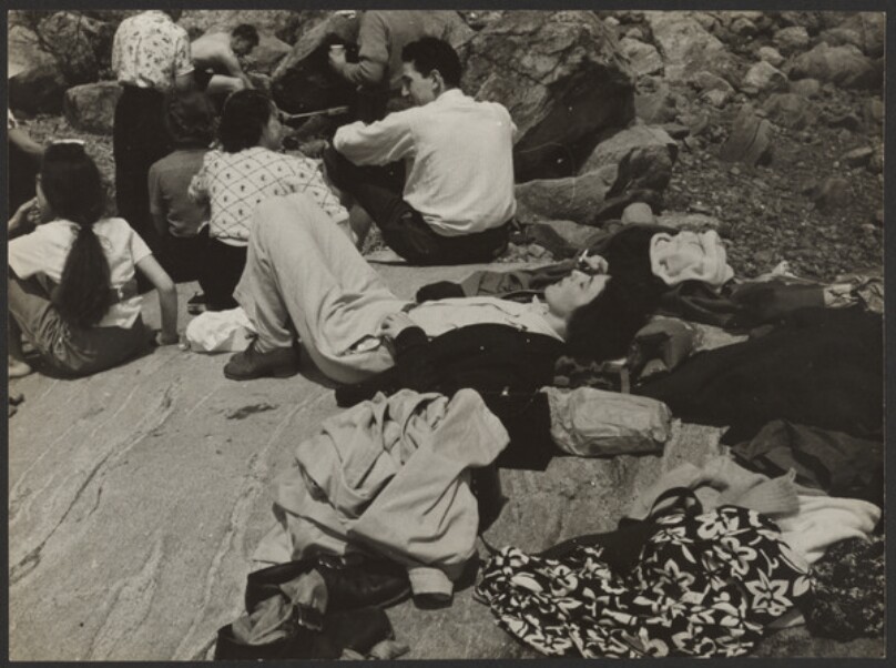 [Class Picnic]
