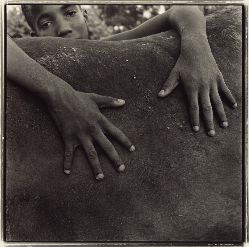 Goodbye to a Horse