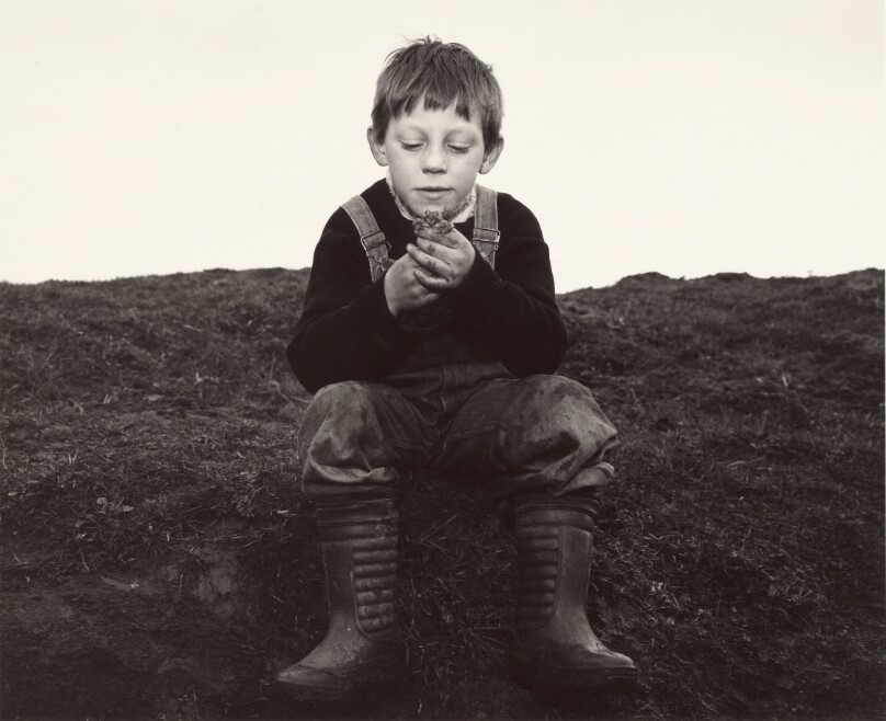 'Rocker' and a Toad, Seacoal Camp, Lynemouth, Northumberland