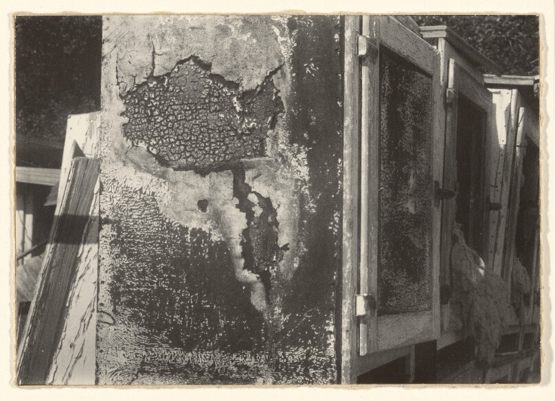 [Disintegrating Iceboxes, Cornell, California]