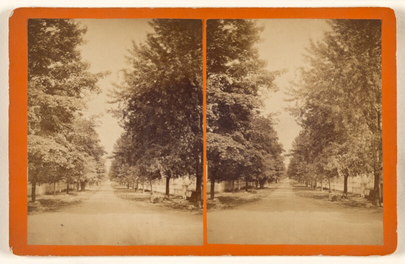 [View in Ann St., Milford, Pa.]