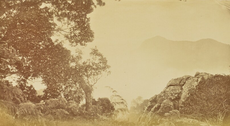 [Landscape View]