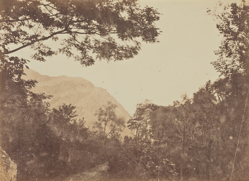 Jane Martha St. John