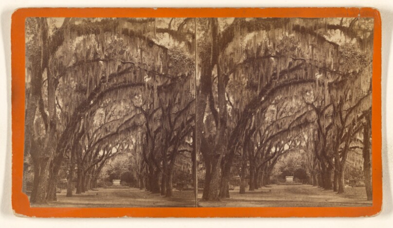 Bonaventure. [Savannah, Georgia]