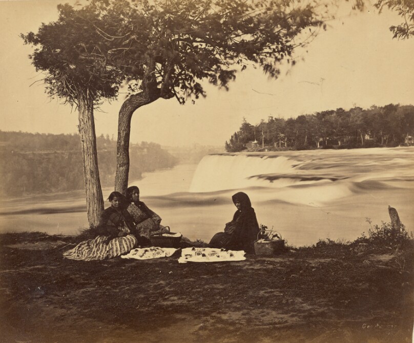 A Tree Above The Niagara Falls