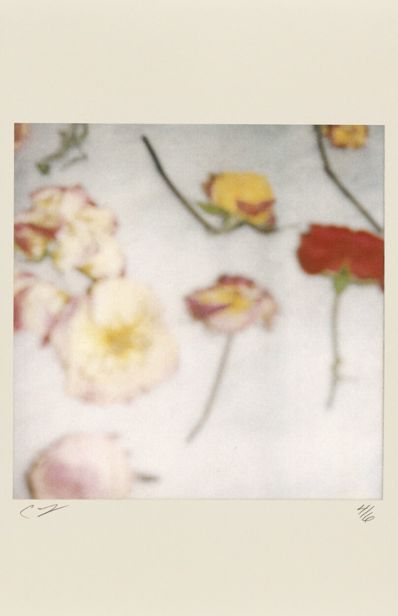 Light Flowers II
