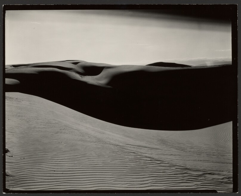 Dune
