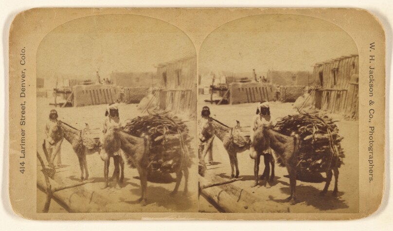 [Indians with burros backed with timber]