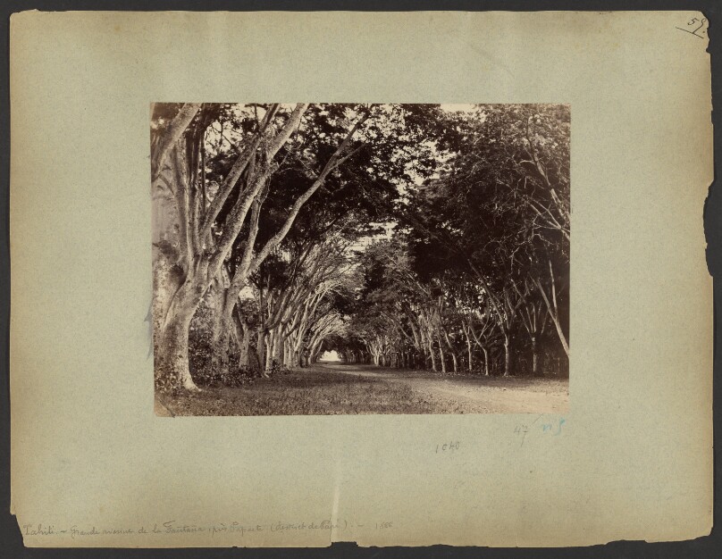 Charles Gustave Spitz