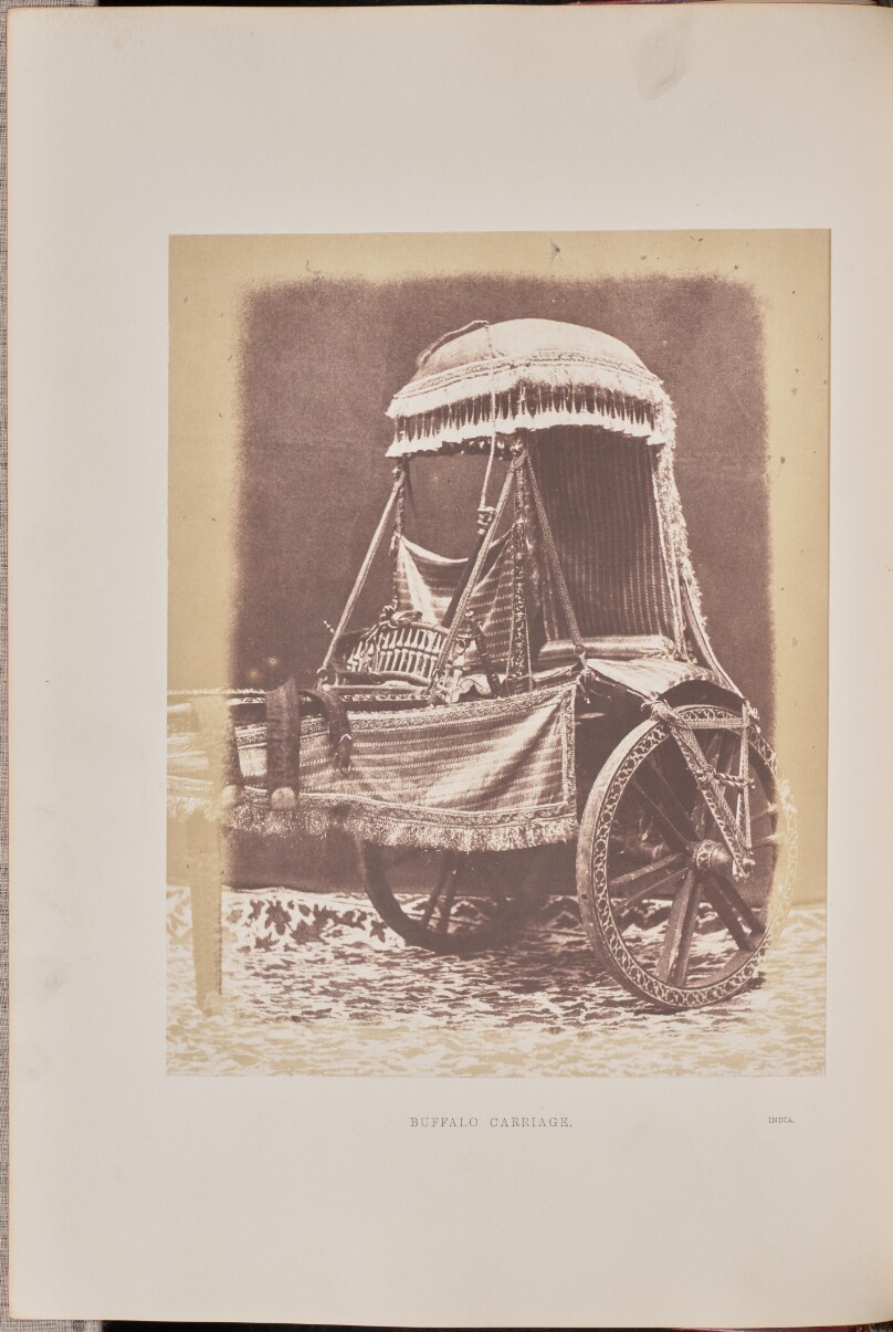 Buffalo Carriage
