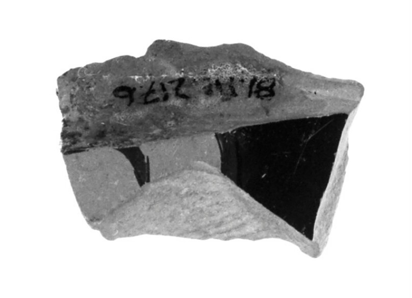 Attic Red-Figure Stamnoid Fragment