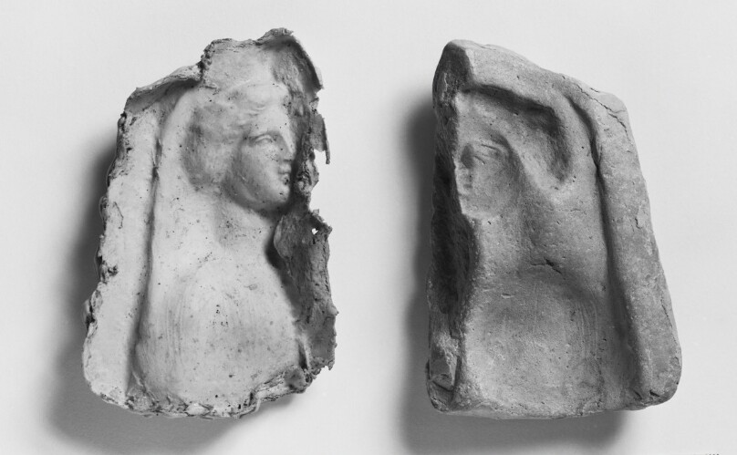 Mold Fragment