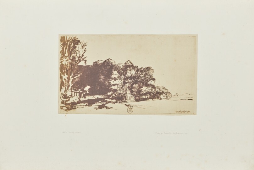 [Clump of trees with a vista]