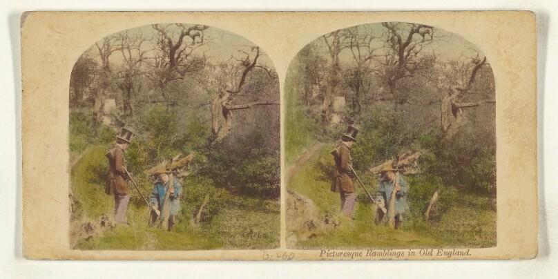 Picturesque Ramblings in Old England.