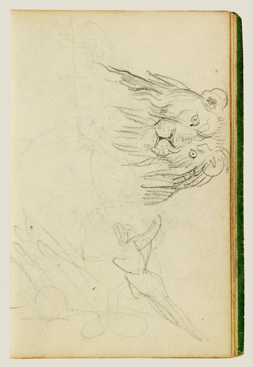 Head on view of seated lion