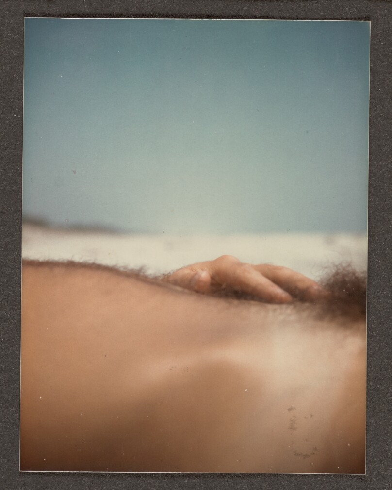 Untitled