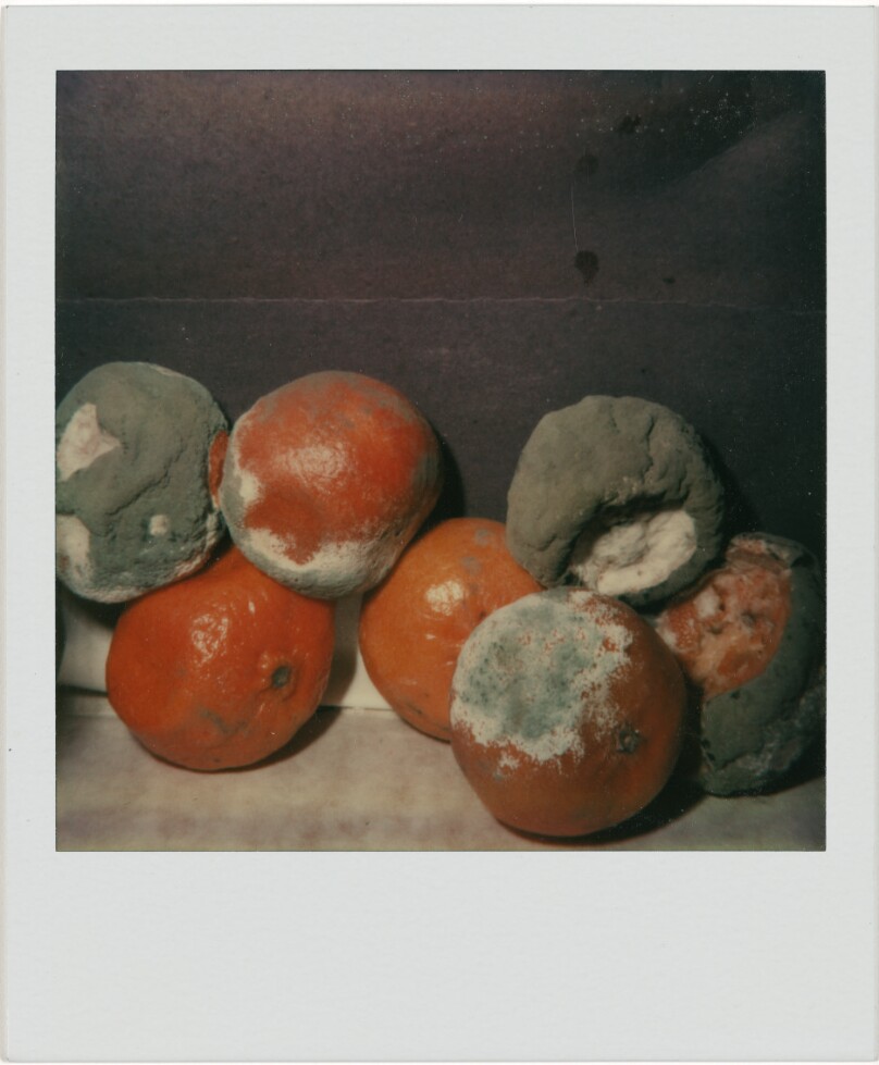 Untitled (Oranges, Boston, MA)