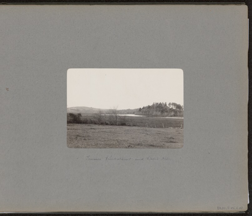 [Punkatasset and Ball's Hill]