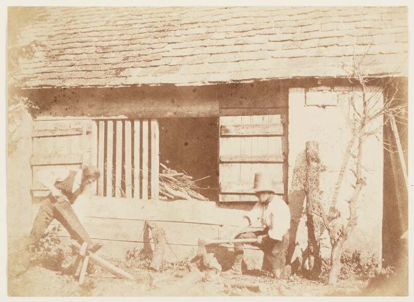 The Woodcutters