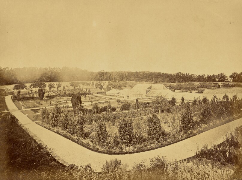 [Garden with Greenhouse]